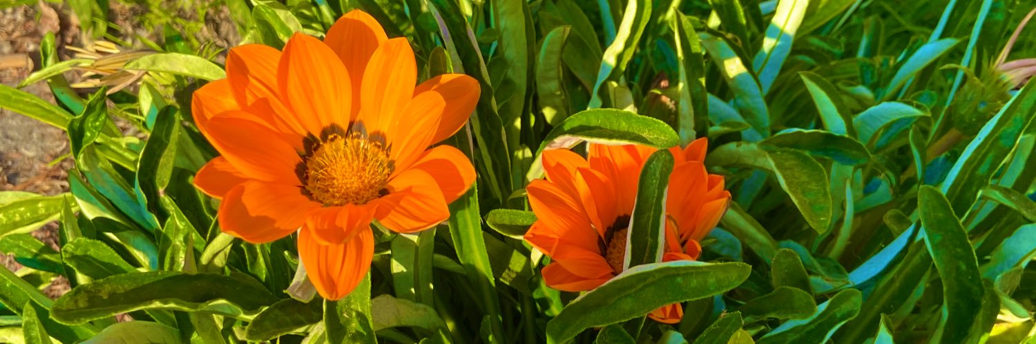 MarioiZarate's profile banner image