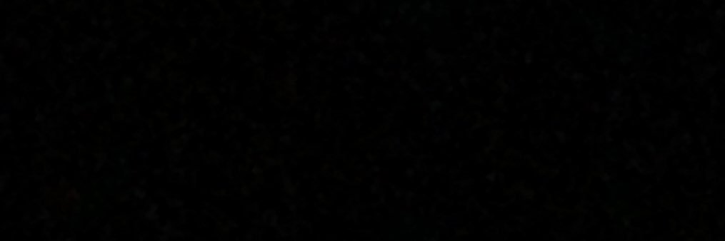 shark banner