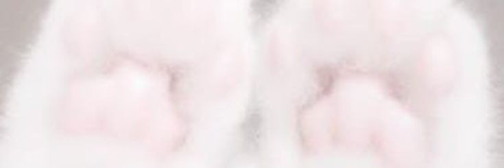 ilpo6ql's profile banner image