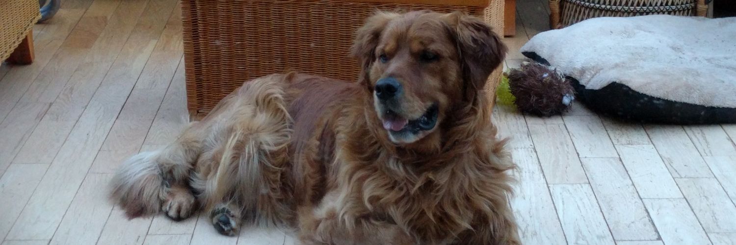 Ronan O'Neill banner