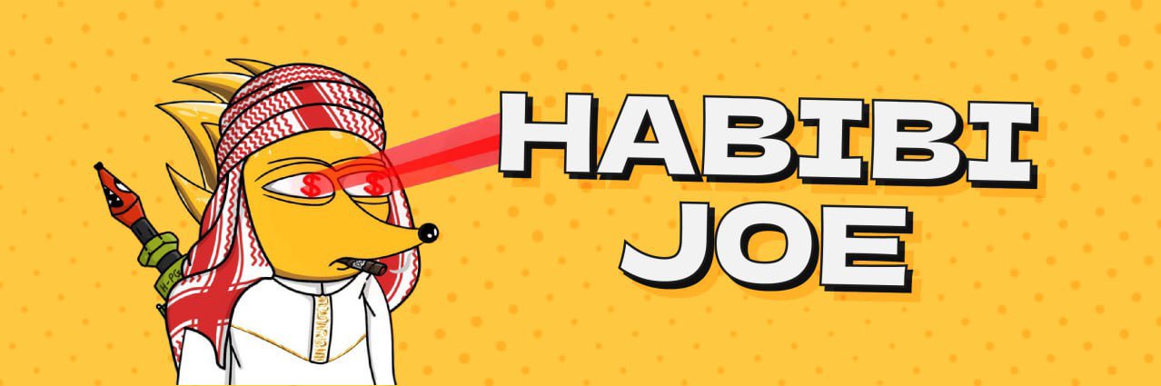 HABIBI JOE banner