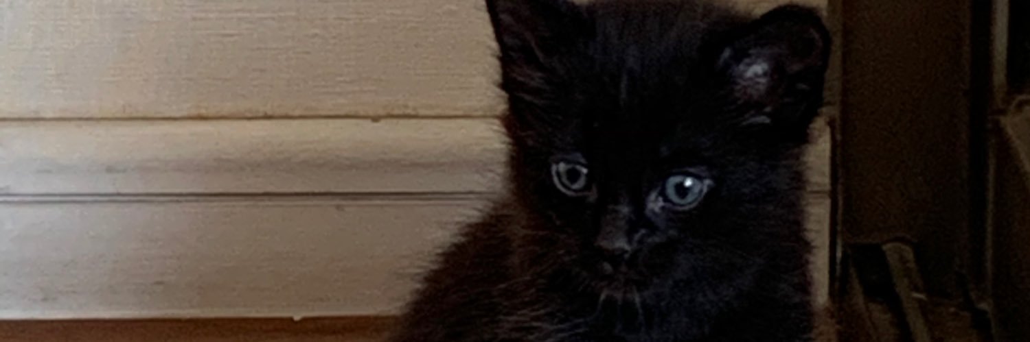 angelalgm's profile banner image