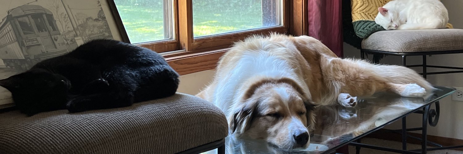 AndBocce's profile banner image