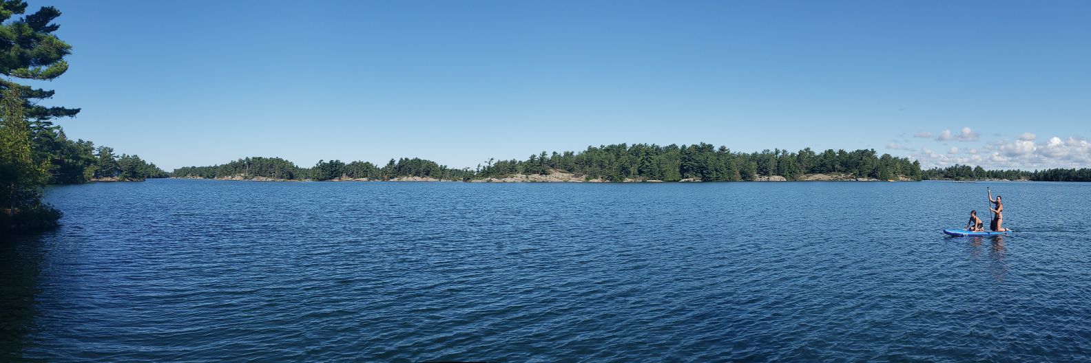 MindOfMcCowan's profile banner image