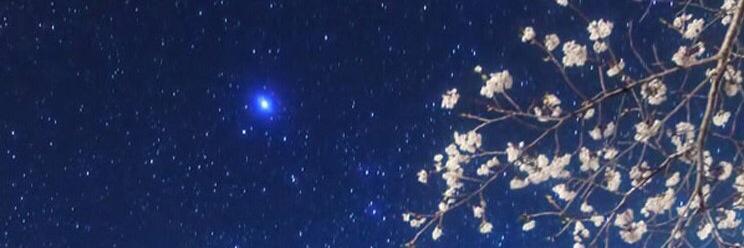 shirotababy's profile banner image