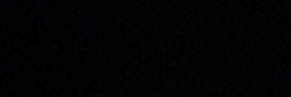 FiskCarter_ Profile Banner