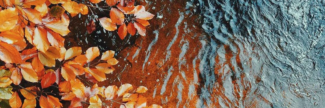 irawn's profile banner image