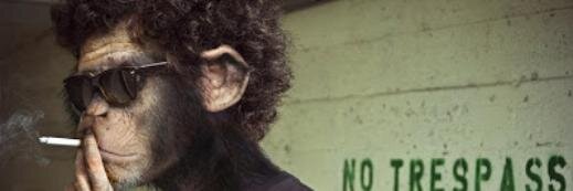 usenmisadam's profile banner image