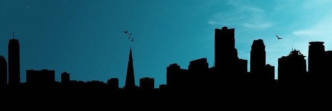 PetMyPixel banner