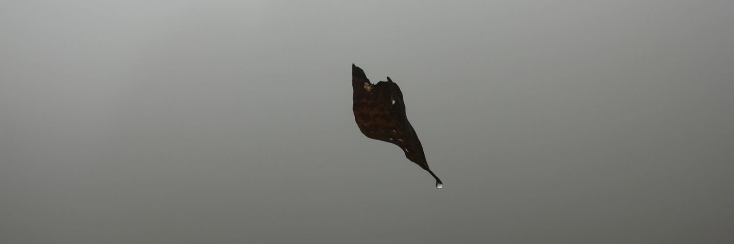 selimersln's profile banner image