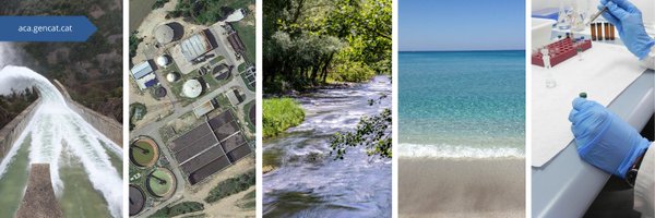 aigua_cat Profile Banner