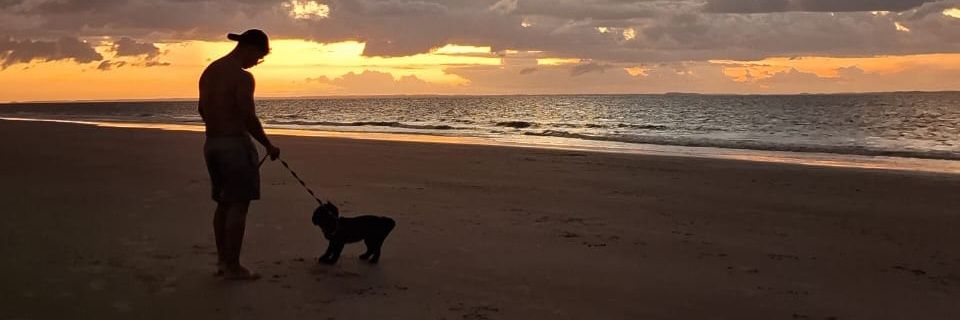 pauletespfc's profile banner image