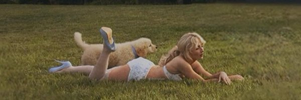 selenputa Profile Banner
