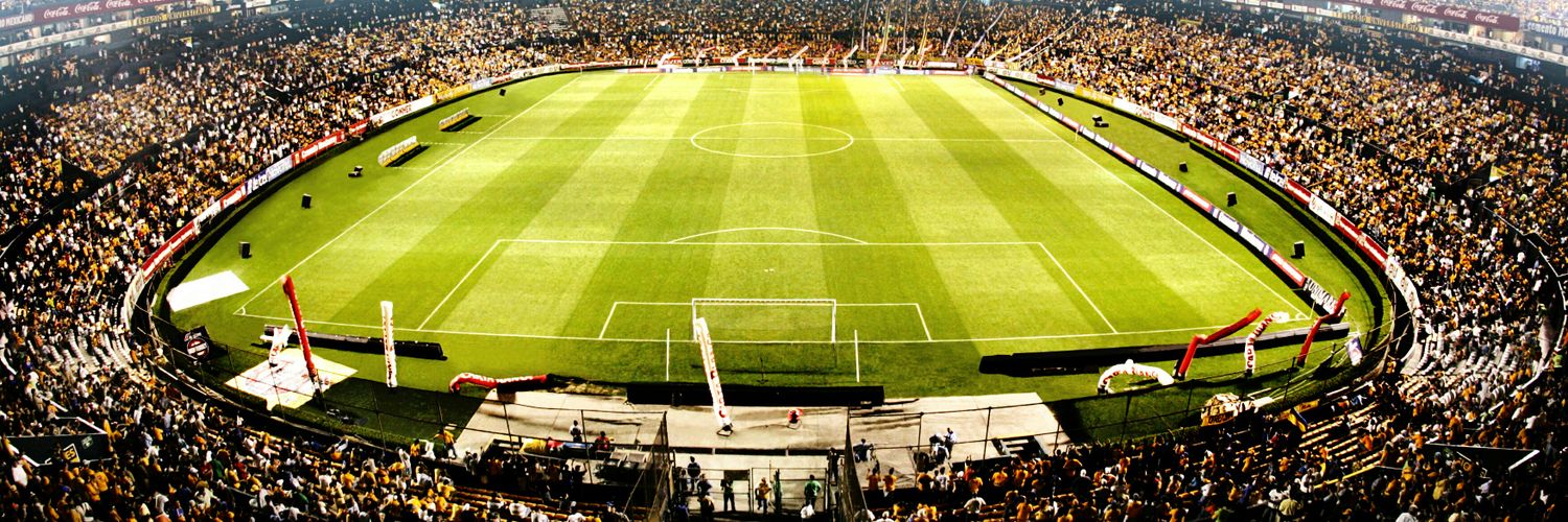 🐯 ⚽️ banner
