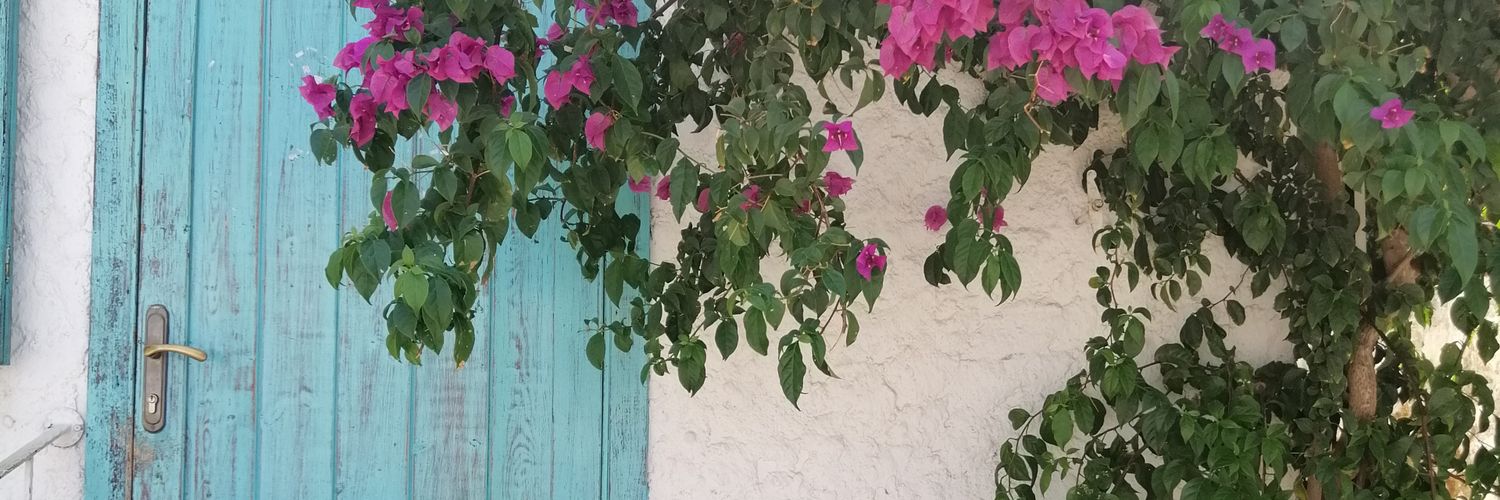 GeldiMeltem's profile banner image