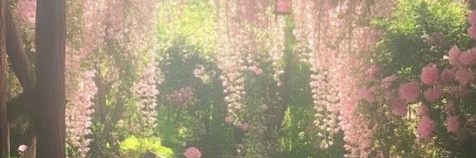 Anagsolo_'s profile banner image