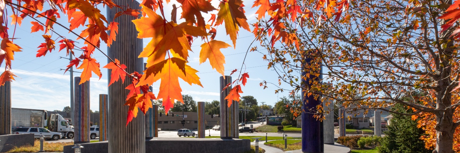 University of Nebraska Medical Center banner