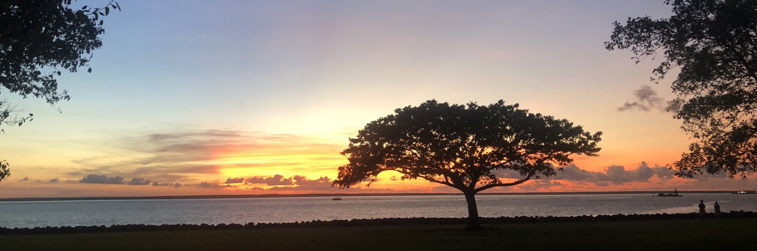 Jenny Roberts banner