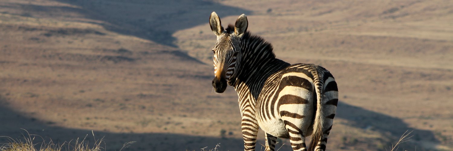 SANParks Mountain Zebra banner