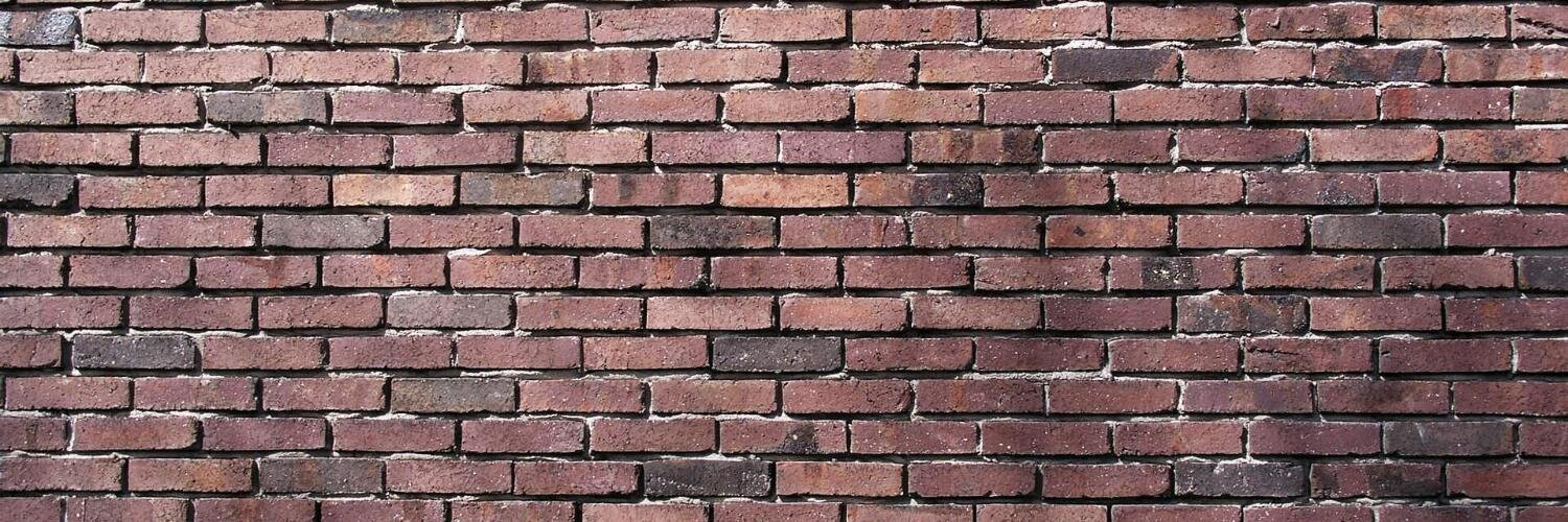 Vladimir Savić banner