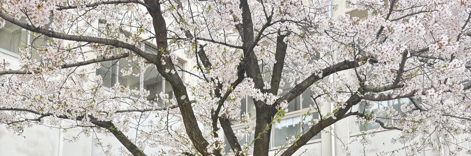 おにぎり🍙 banner