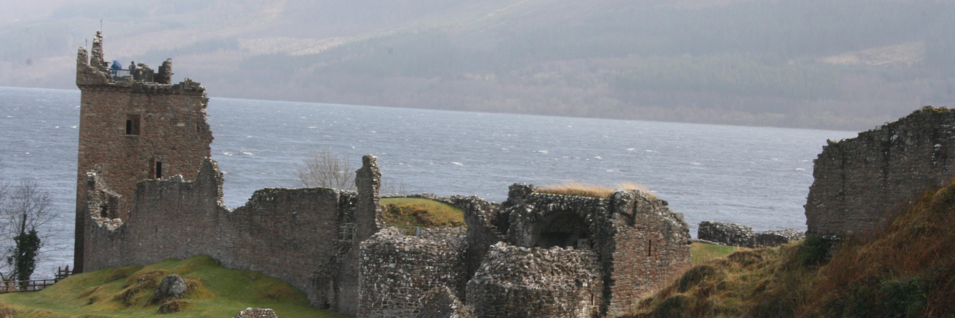 zrobertson's profile banner image