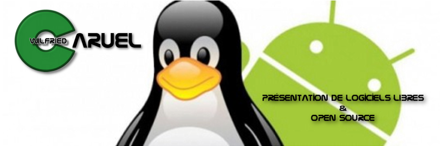 Wilfried Caruel banner