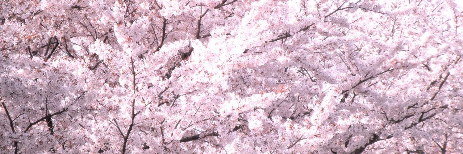 ことこ banner