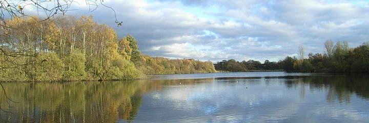 Alfred Searls banner