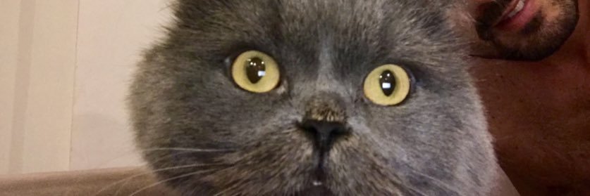 cemalok's profile banner image