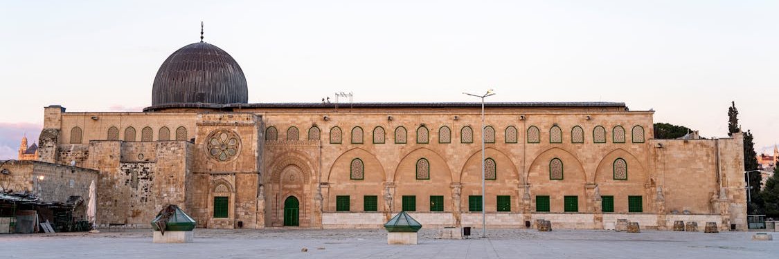 وفاء العامر's banner