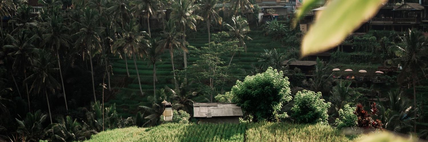 Joaquina Vinay banner