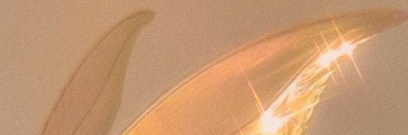 deaintanprtw's profile banner image