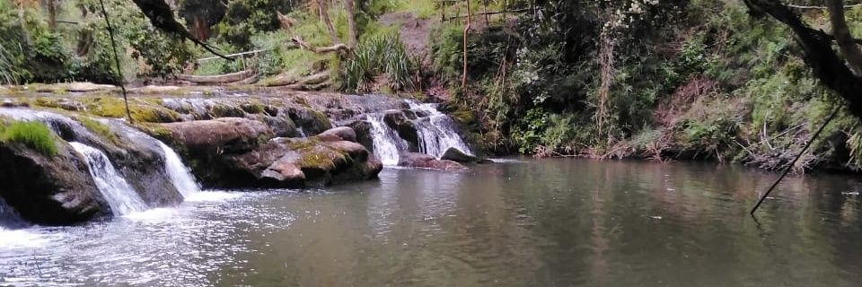 gonzalezcoto's profile banner image