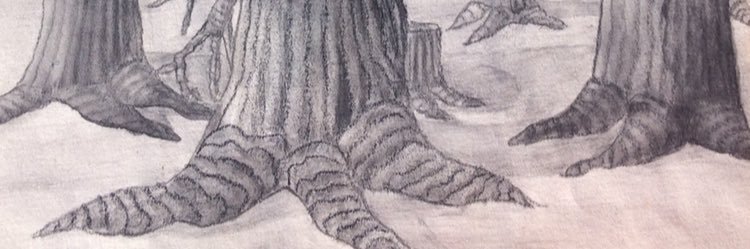 johnson_raegan's profile banner image