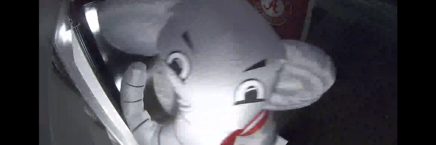 SouthernGrin's profile banner image