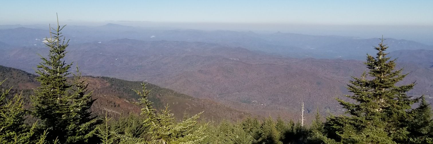 Daniel Conner banner