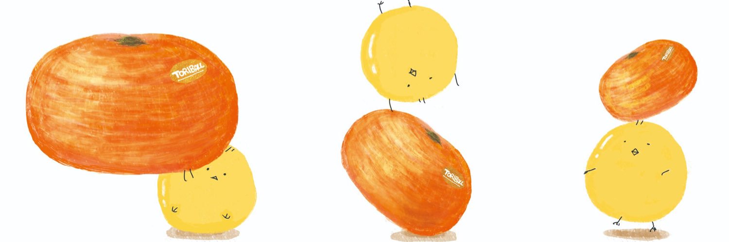 oooTORIBALLooo's profile banner image