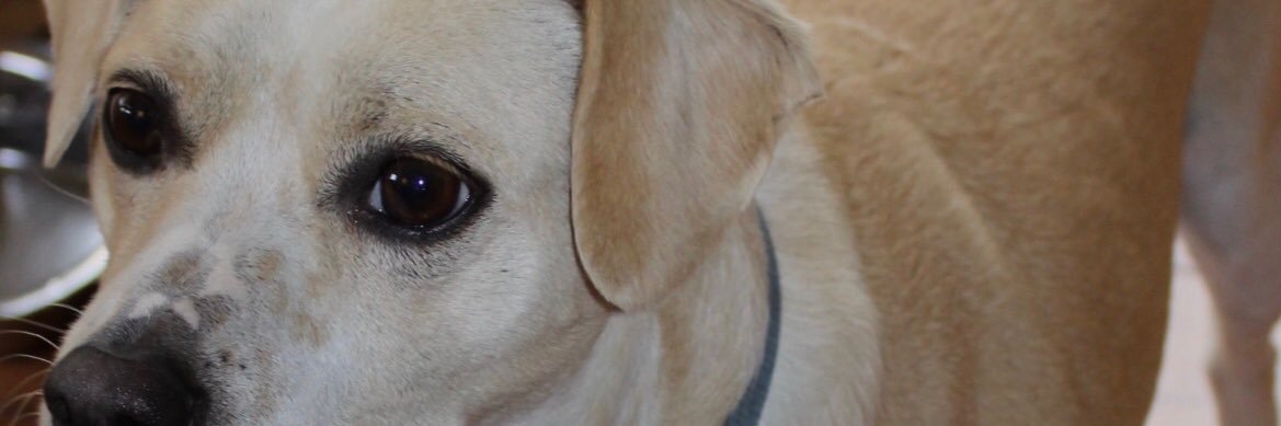 Jerry Kirkpatrick banner