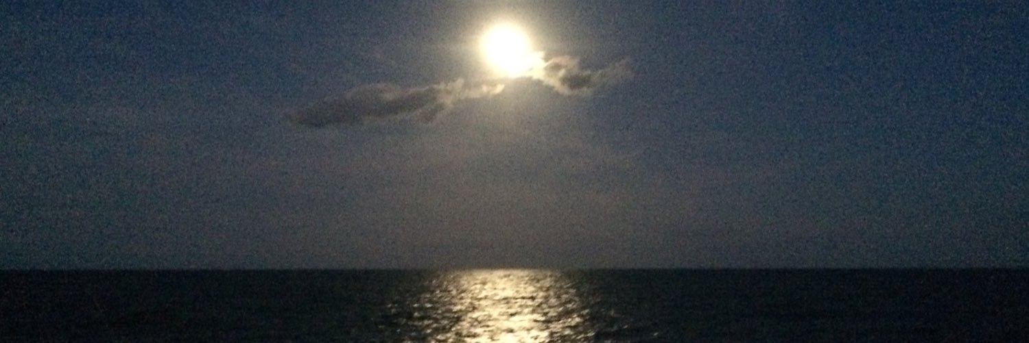 andreajoy_1's profile banner image