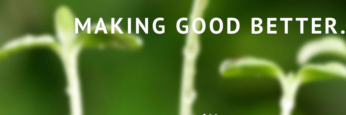 Field Guide Inc. banner