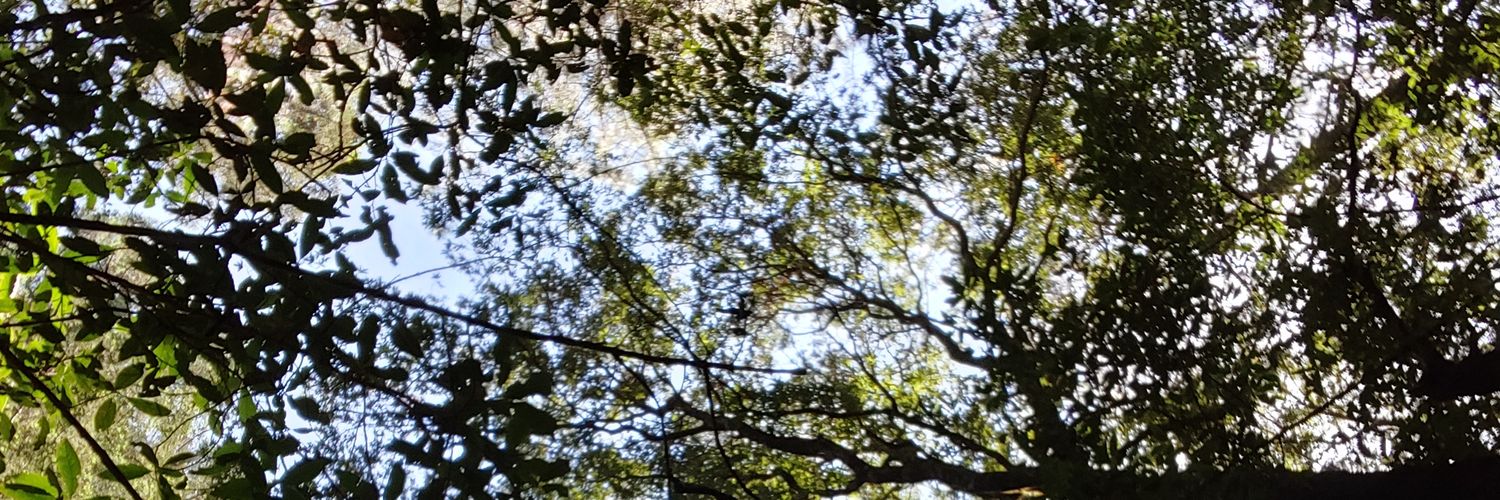 Sabina Rodríguez 🌎 banner