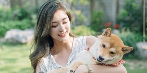Tzuzuzee's profile banner image