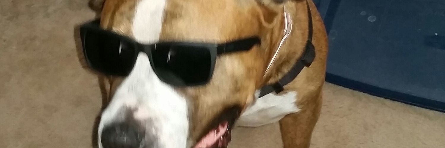EsteHoboface's profile banner image