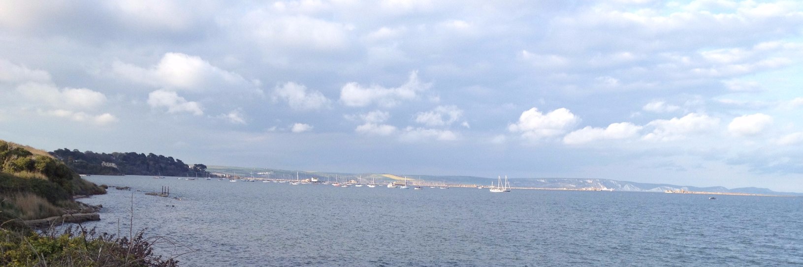 Andrew Fletcher banner