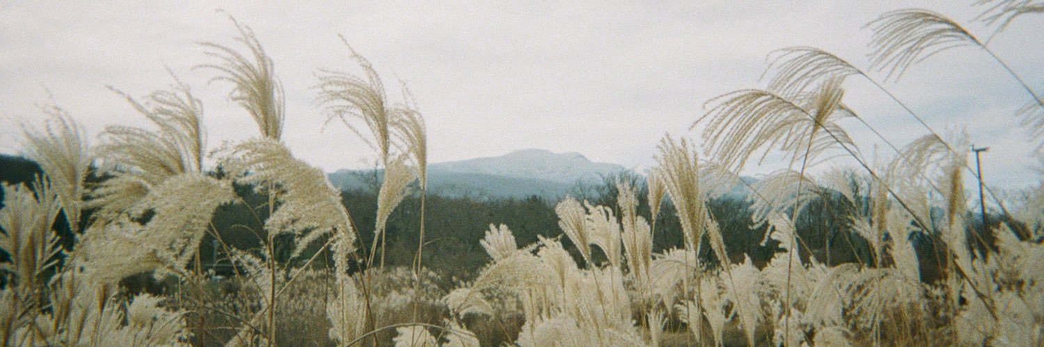 sopisays's profile banner image