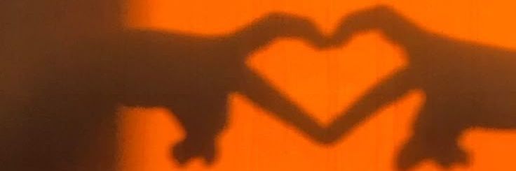 yencii017's profile banner image