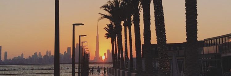 __MS25's profile banner image