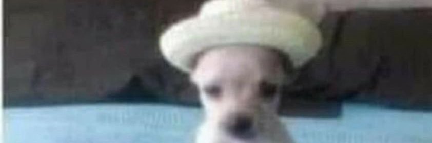 alan_flrs07's profile banner image