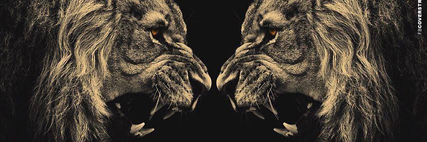 rupok7020's profile banner image